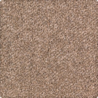 Pure Distinction Lasting Luxury  Allspice LL_2M82-9771