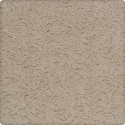 Graceful Allure Lasting Luxury  Mayfly LL_2R47-9738