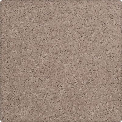 Graceful Allure Lasting Luxury  Suede Safari LL_2R47-9858
