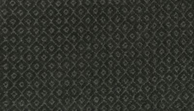 Elite Class Lasting Luxury  Raven LL_2S52-519