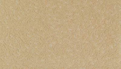 Amazing Scene Lasting Luxury  Magnolia Blossom LL_2S62-511