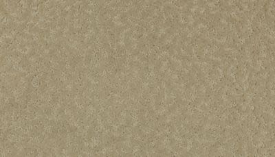 Amazing Scene Lasting Luxury  Thoughts Of Home LL_2S62-502