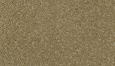 Amazing Scene Lasting Luxury  Rococo Beige LL_2S62-517