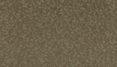 Amazing Scene Lasting Luxury  Folkstone LL_2S62-515