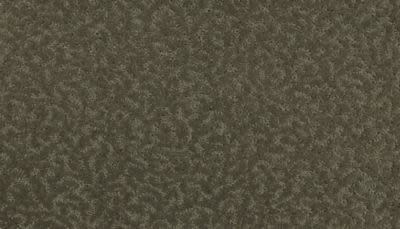 Amazing Scene Lasting Luxury  Bison LL_2S62-521