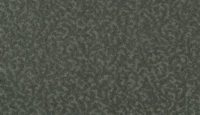 Amazing Scene Lasting Luxury  Shadow LL_2S62-513