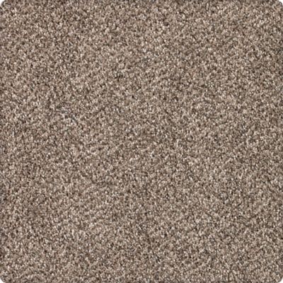 Formal Embrace Lasting Luxury  Winter Bark LL_2R46-9786