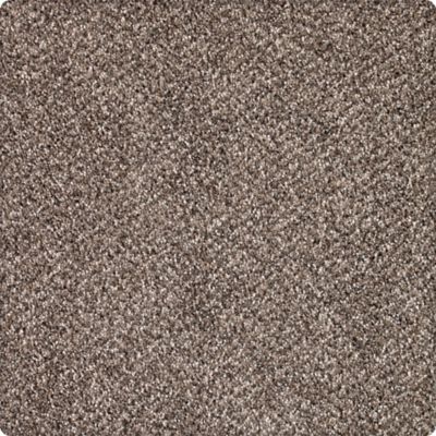 Formal Embrace Lasting Luxury  Mineral Brown LL_2R46-9789