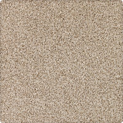 Dover Coast Lasting Luxury  Shadow Pearl LL_2R59-9729
