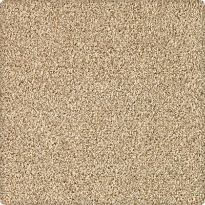 Dover Coast Lasting Luxury  Ancient Oak LL_2R59-9731