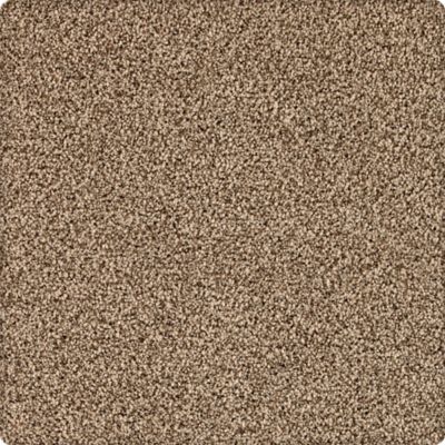 Dover Coast Lasting Luxury  Tealeaf LL_2R59-9824