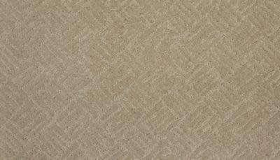 Charming Essence Lasting Luxury  Alpaca LL_2S97-505