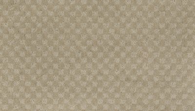 Everlasting Chic Lasting Luxury  Champagne LL_2S92-512