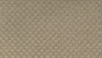Everlasting Chic Lasting Luxury  Crumb Cookie LL_2S92-518