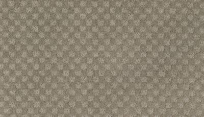 Everlasting Chic Lasting Luxury  Noveaux Taupe LL_2S92-509