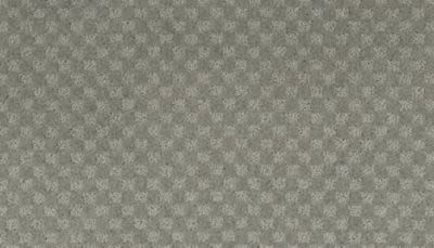 Everlasting Chic Lasting Luxury  Coastal Fog LL_2S92-501