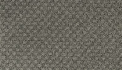 Everlasting Chic Lasting Luxury  Grey Mountain LL_2S92-519