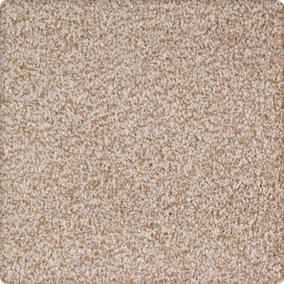 Serene Scene Lasting Luxury  Sandstone LL_2U37-9741