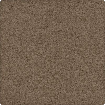 Craftsman Charm Lasting Luxury  Coachman LL_2V32-9774