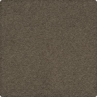 Craftsman Charm Lasting Luxury  Shadywood LL_2V32-9839