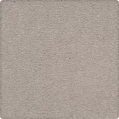Craftsman Charm Lasting Luxury  Graycloth LL_2V32-9908