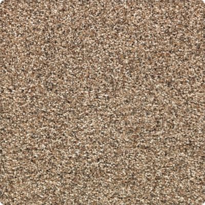Rustic Appeal Lasting Luxury  Renoir Bisque LL_2U57-9741