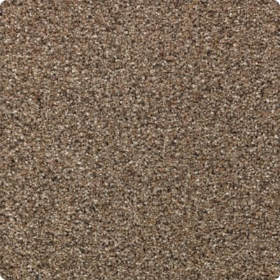 Rustic Appeal Lasting Luxury  Bashful Taupe LL_2U57-9776