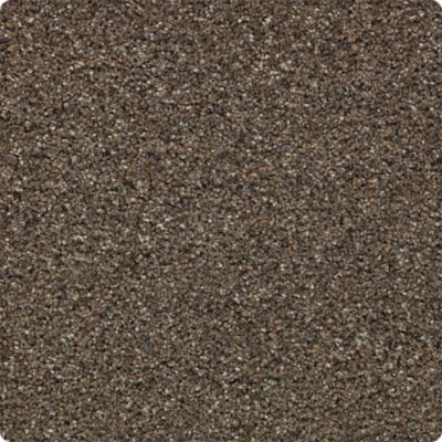Rustic Appeal Lasting Luxury  Polished Ebony LL_2U57-9957