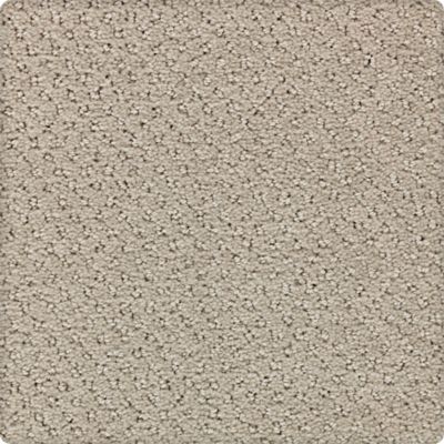 Tudor Square Lasting Luxury  Grayish LL_2U98-9739