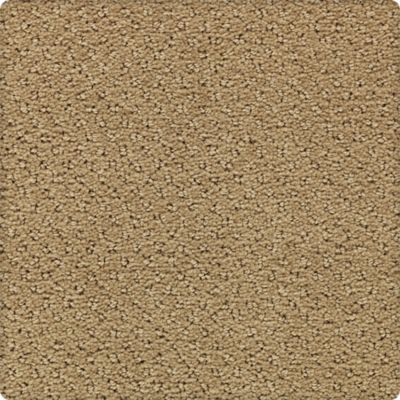 Tudor Square Lasting Luxury  Universal Khaki LL_2U98-9770