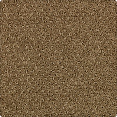 Tudor Square Lasting Luxury  Mossy Gold LL_2U98-9791
