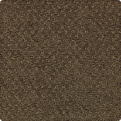 Tudor Square Lasting Luxury  Enduring Bronze LL_2U98-9866