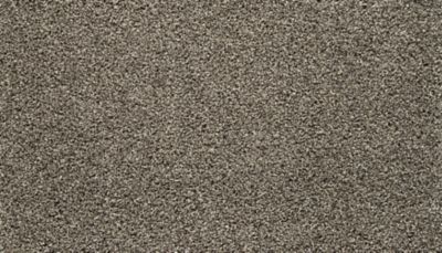 Natural Statement II Lasting Luxury  Taupe Delight LL_3F32-869