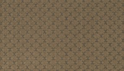 Enchanted Idea Lasting Luxury  Caramel Toffee LL_3F44-847