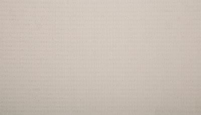 Contemporary Spirit Lasting Luxury  Carolina Gull LL_3F16-9908