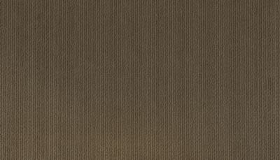 Confident Glamour Lasting Luxury  Prairie LL_3F41-786
