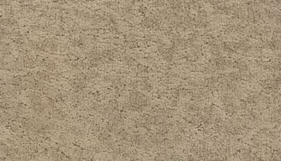 Charming Influence Lasting Luxury  Sandstone LL_3H85-748