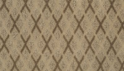 Dazzling Variety Lasting Luxury  Camel LL_3G70-9837