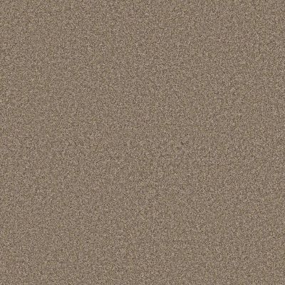 Shaw Floors Pet Perfect Plus Perfect Choice II Honeycomb GF391513