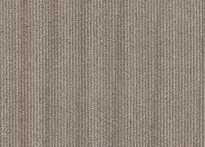 Shop Mohawk Group Rebel Tile Wild Thing RBLTHNG2424 Carpet