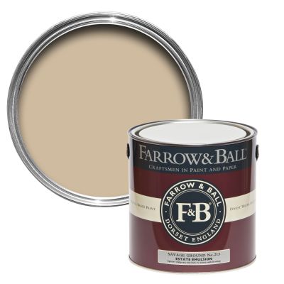 Farrow And Ball Current Palette Savage Ground 5029496871319