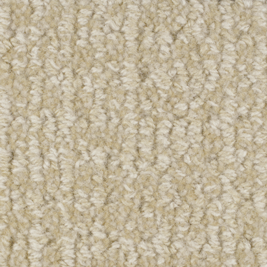 Masland Carpets & Rugs Chesapeake Sand 9229-50