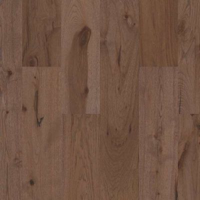 Shaw Floors Reflections Hickory Radiance SW67307036