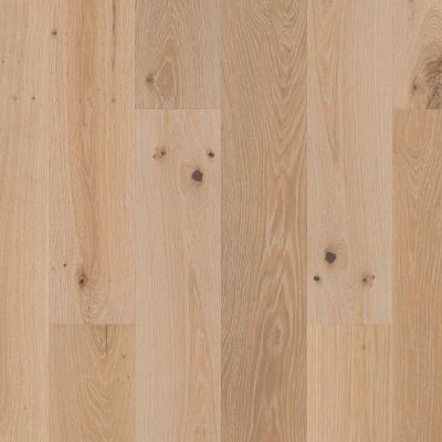 Shaw Floors Expressions Poetry SW70701071