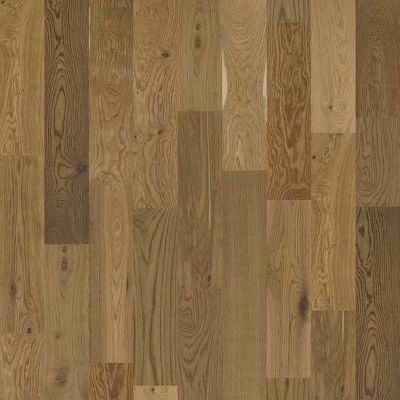 Shaw Floors Expressions Prose SW70707067