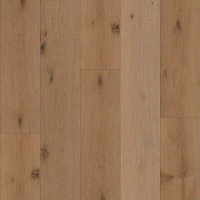 Shaw Floors Expressions 9.5″ Watercolor SW75401134