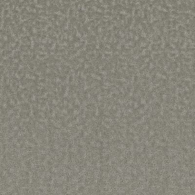 Tarkett Home Aesthetic Poised TH939_919