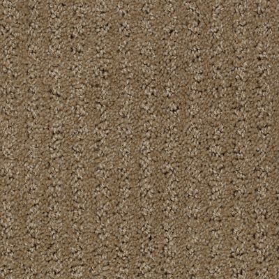 Peerless Nyluxe Petguard Simple Elegance Dark Straw 1661_13742