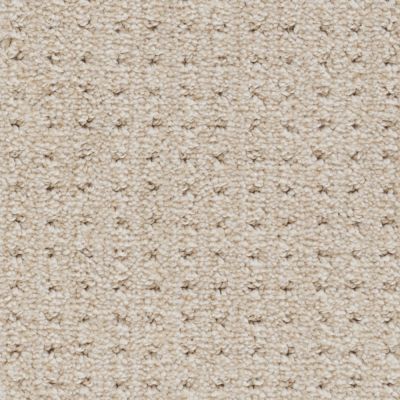 Peerless Tryesse Pro Escape To Maui Beige Clay A1730_19018