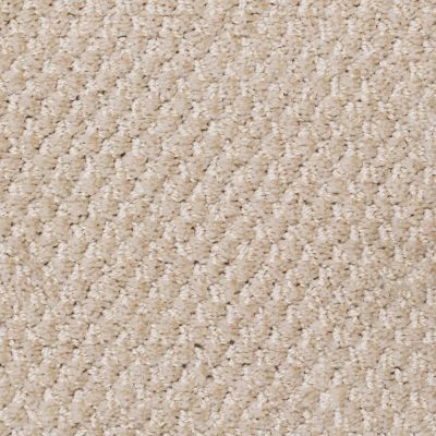 Peerless Tryesse Pro Souvenir From France Beige Clay A1748_19018